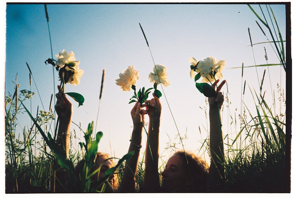 Lezioni apprese dalle piattaforme di video dating